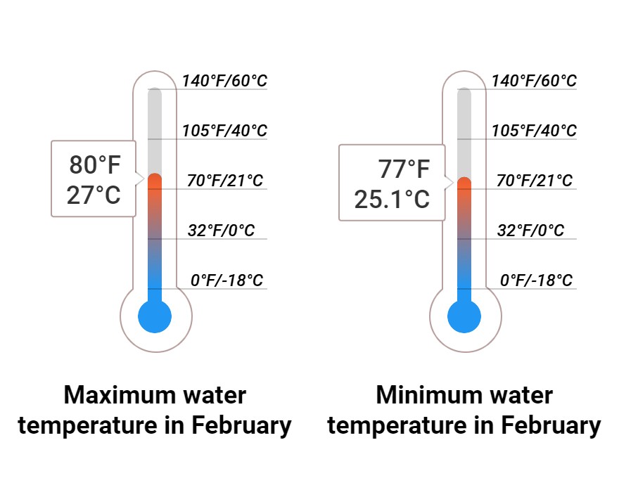 Average Sea temperature